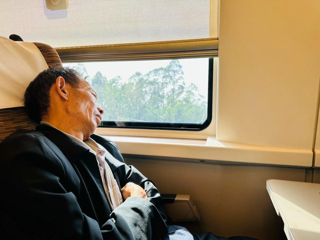 高铁蚂蚁出行靠谱吗？真实用户评测曝光内幕