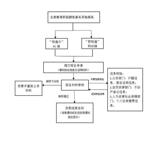 洛道扶摇任务全流程攻略(从开始到精通完全教学)