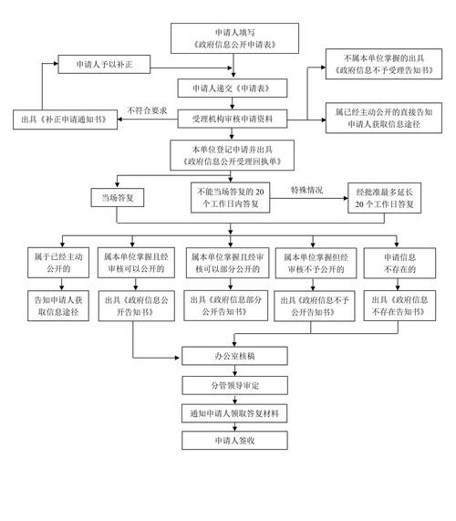 洛道扶摇任务全流程攻略(从开始到精通完全教学)