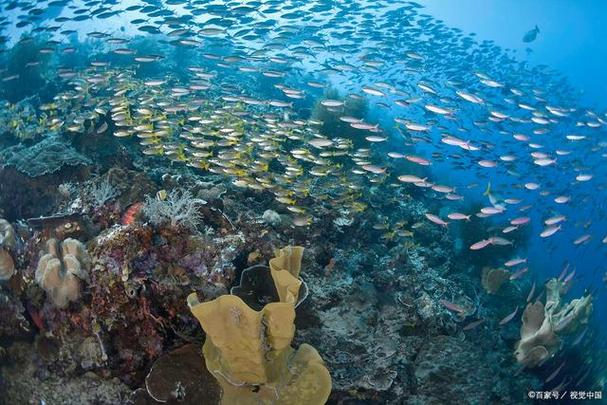 我国海洋生态系统不包括什么内容(考试常考的5个要点)