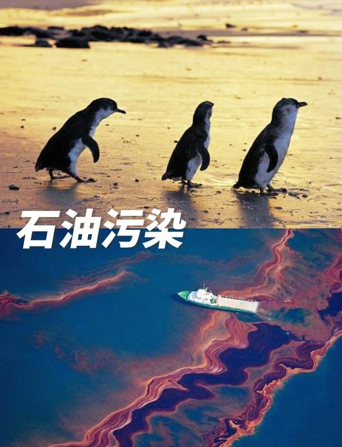 我国海洋生态系统不包括什么内容(考试常考的5个要点)