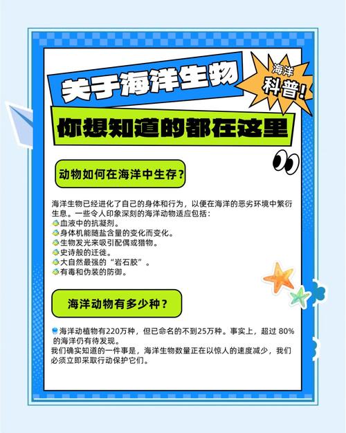 海洋生物冷知识：长在海底的海绵原来不是植物？