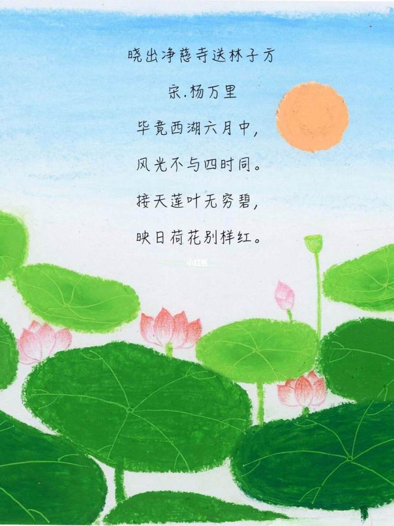 接天莲叶无穷碧描写的是哪个湖？（西湖赏荷最佳季节攻略）