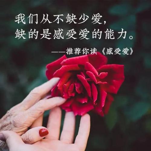 爱是唯一的信仰真的重要吗?这些原因不能忽视!