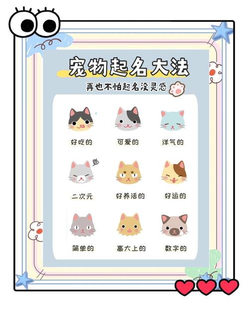 炫舞宠物名字取名秘诀？提升游戏魅力必备攻略！