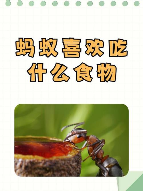 以下哪种烹饪方式蚂蚁庄园题目怎么做?快速通关技巧分享!