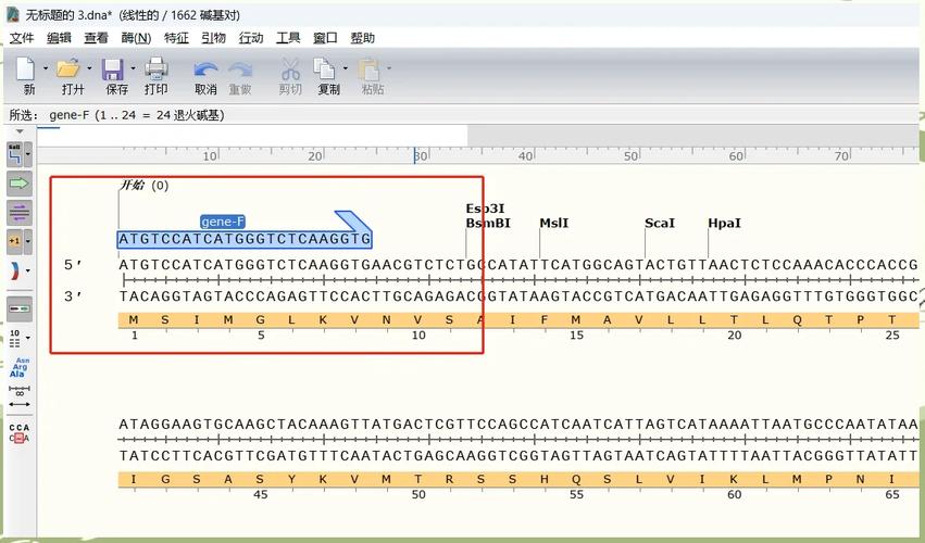 哪个引物设计软件好用？primer5真实对比测评分享
