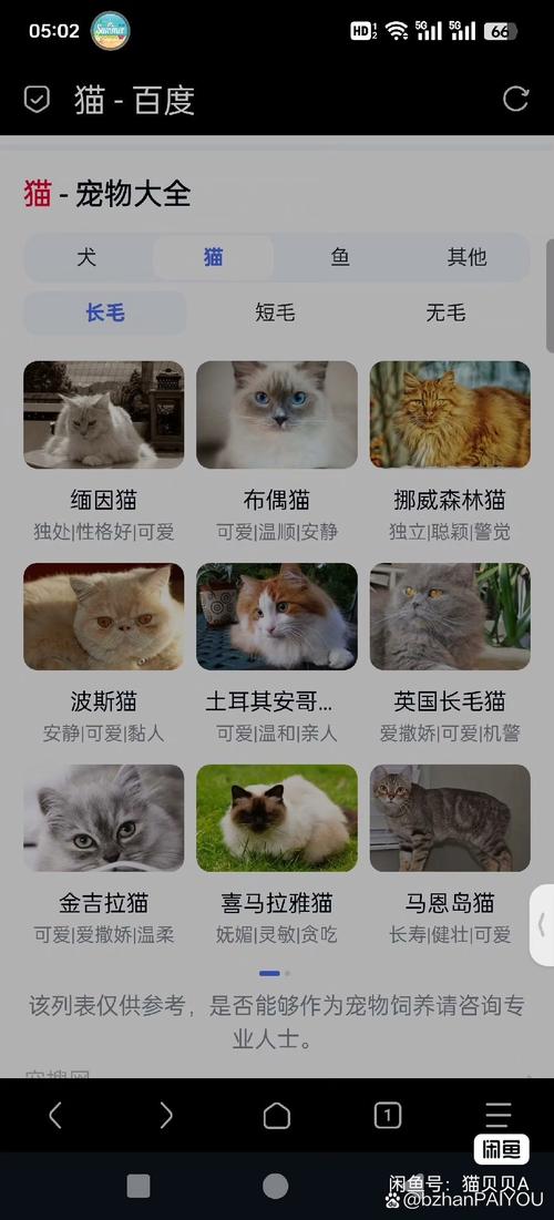 新版猫咪地址哪里查?这份指南帮你正确搞定!