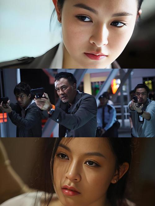 电视剧大追捕主演有谁？实力派演员阵容大揭秘！