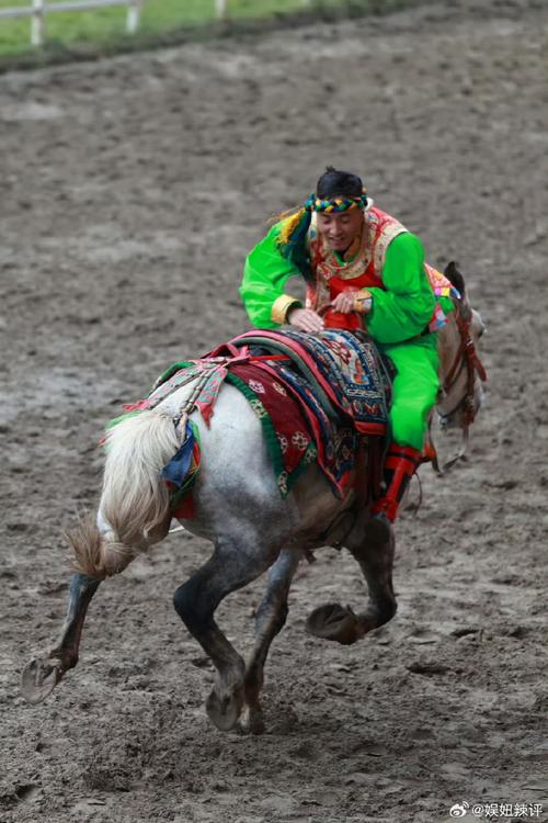 端午节与马有关的庆祝活动有哪些？5大项目带你玩转端午