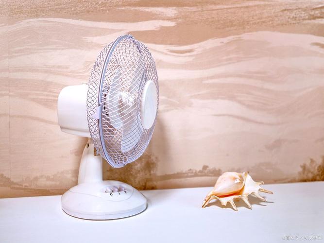 夏天把空调和电风扇蚂蚁庄园省电效果(实测数据揭秘惊人变化)