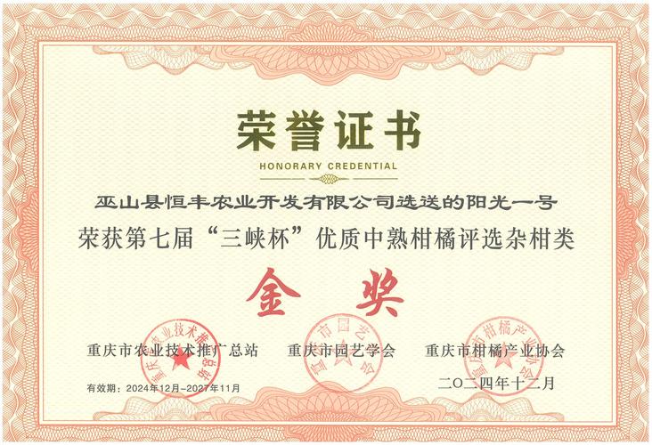 种植户评价全国最大的核桃种苗输出地怎么样(真实反馈全面了解)