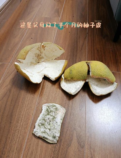 柚子皮去甲醛有效吗?3个事实揭秘真相!