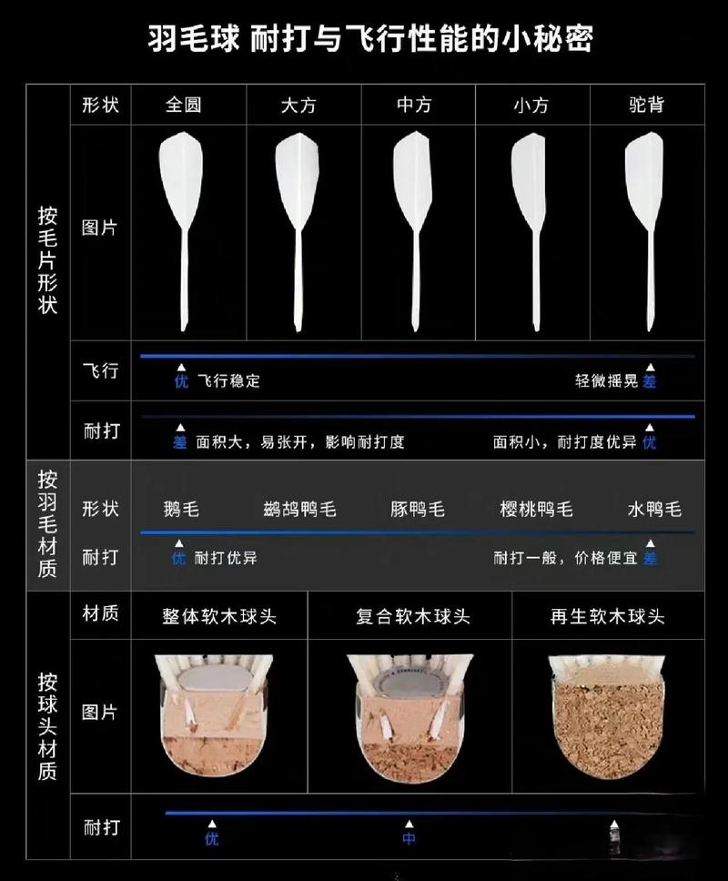 羽毛球大多是什么羽毛制成的？主要来源竟有三种常见羽毛