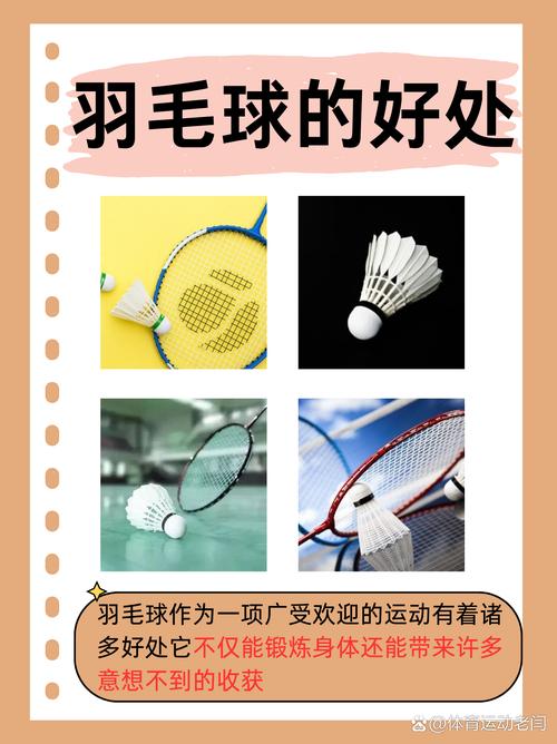 羽毛球大多是什么羽毛制成的?主要来源竟有三种常见羽毛