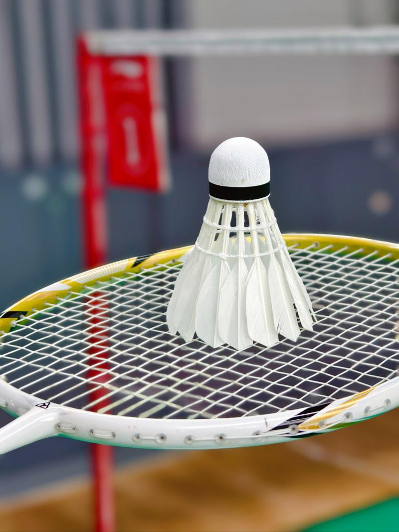 羽毛球大多是什么羽毛制成的?主要来源竟有三种常见羽毛