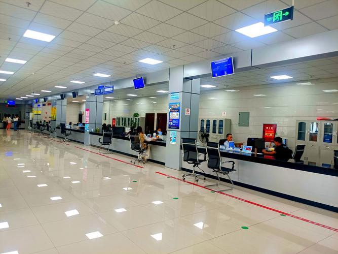 职业大厅怎么去(详细步骤新手也能快速上手)