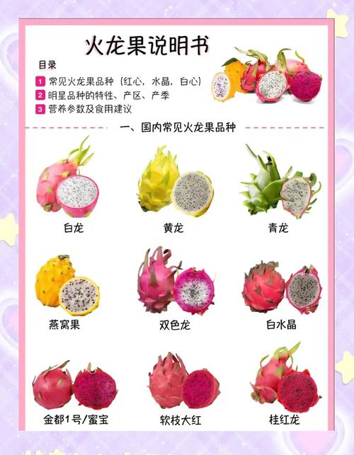 如何选甜度高的火龙果?(红心白心甜度差异指南)