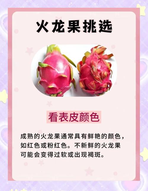 如何选甜度高的火龙果？(红心白心甜度差异指南)