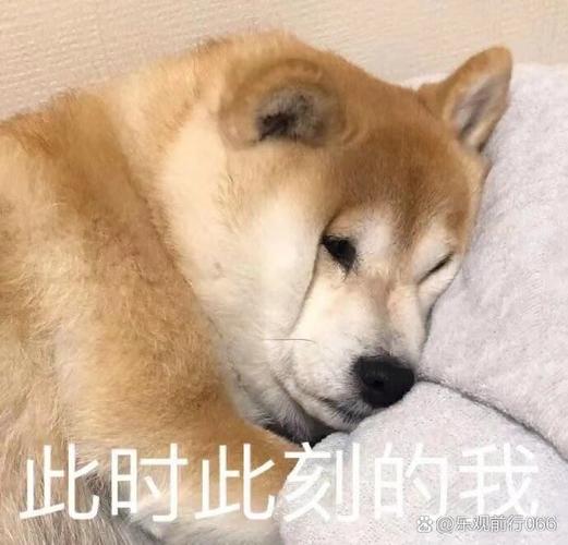 EMO什么梗为啥火了？看完立刻秒懂年轻人