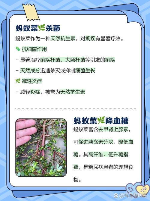 哪种蔬菜含盐量高蚂蚁庄园?揭晓最咸蔬菜排行榜单!