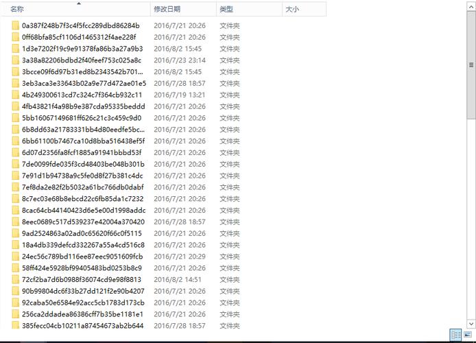 1.20e补丁常见问题怎么办？解决BUG实用技巧！