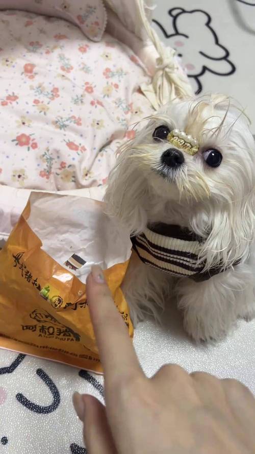 天生高血压的动物有哪些?这4种活得挺好