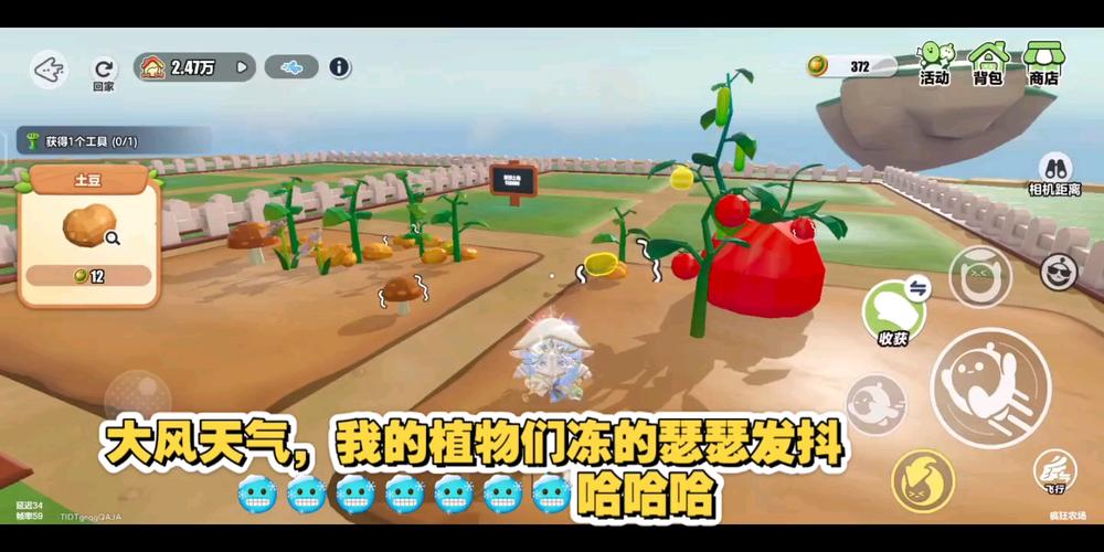 疯狂的番茄新手怎么入门？(5个步骤快速上手攻略！)