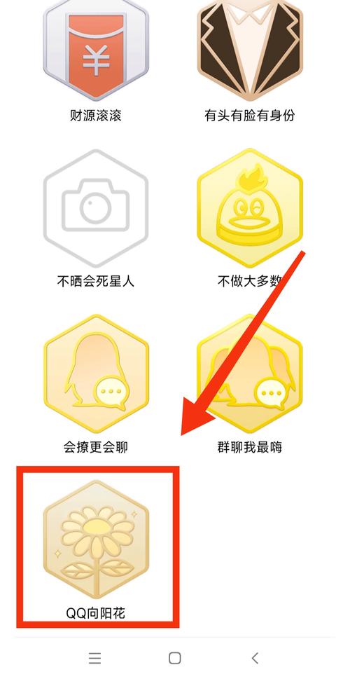 新版本自己qq勋章墙查看不了怎么解决？(3个实用方法轻松修复)