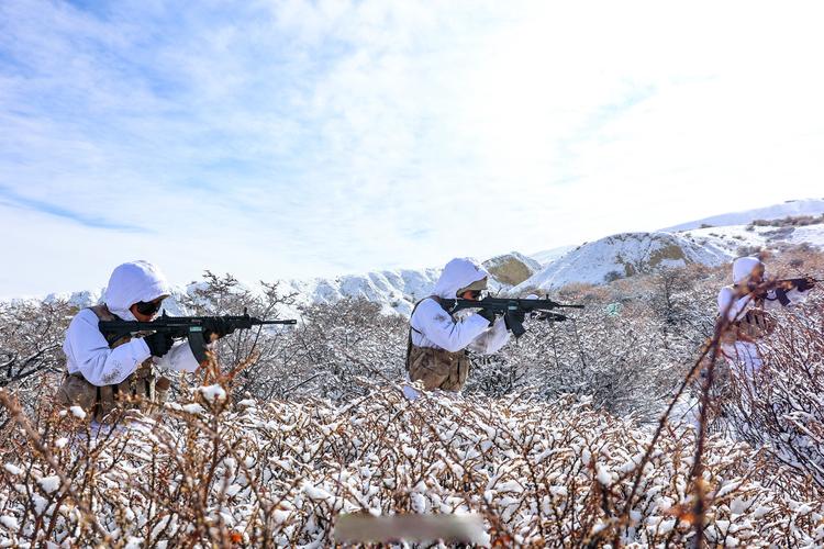 雪境作战环境下的战术体系重构与装备适配策略