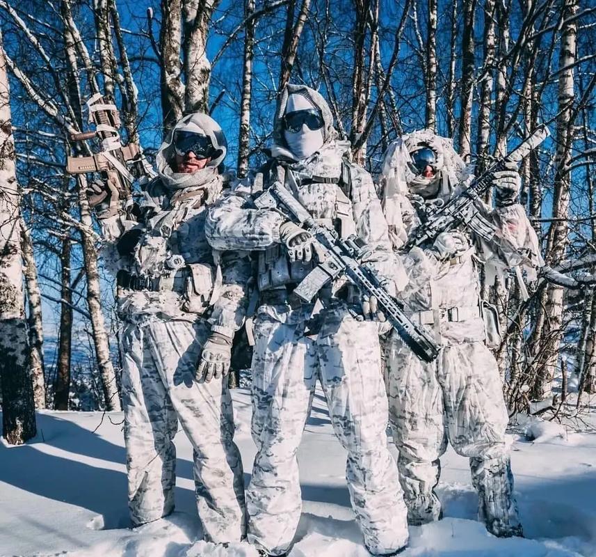 雪境作战环境下的战术体系重构与装备适配策略