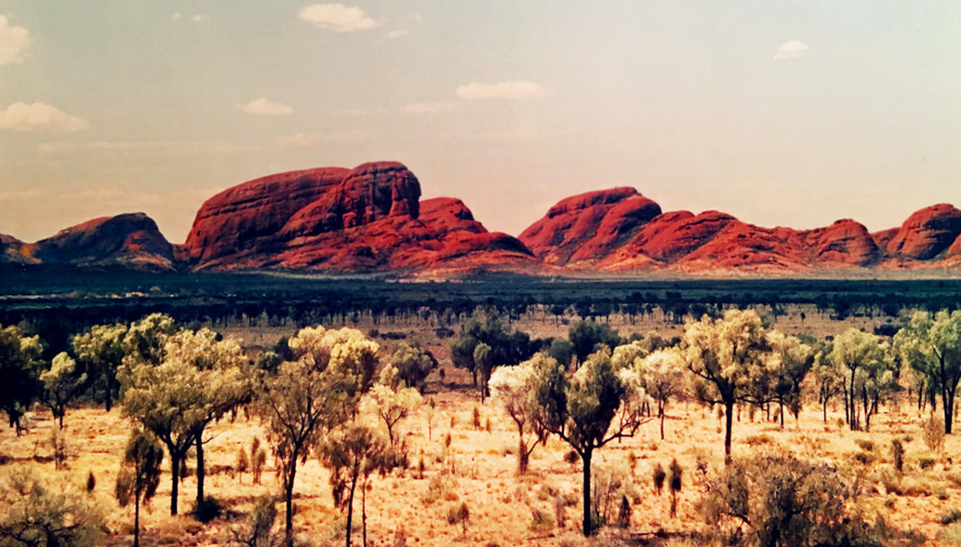 利特泽纳女王领地版本大全有什么特色？揭秘各版本独特玩法！