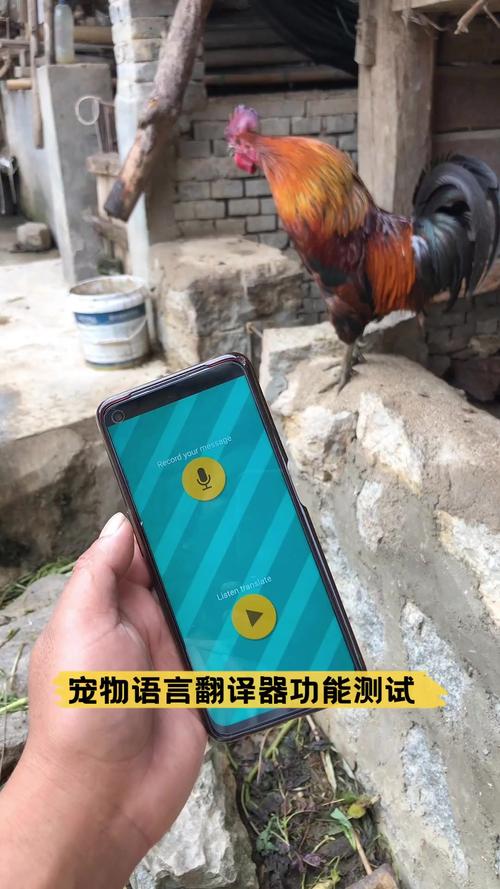 动物翻译器效果如何？实际体验告诉你！