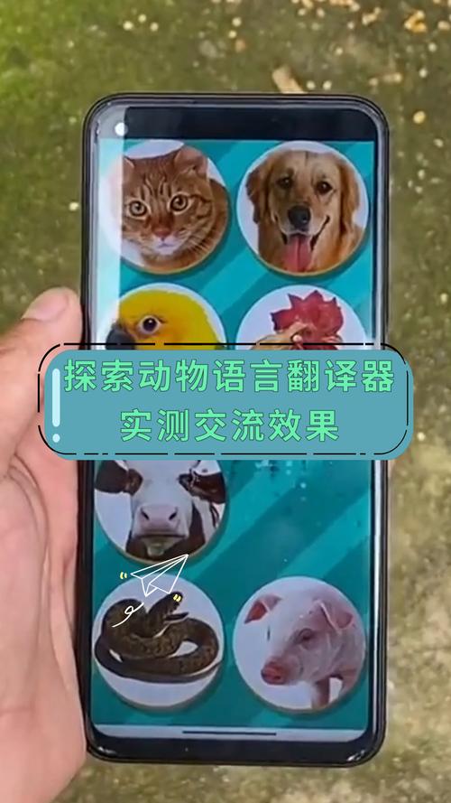动物翻译器效果如何？实际体验告诉你！