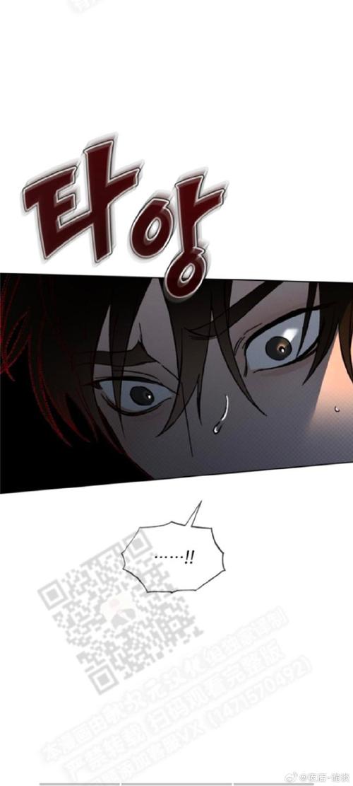 利特泽纳女王领地汉化版下载常见问题(遇到问题看这里解决)