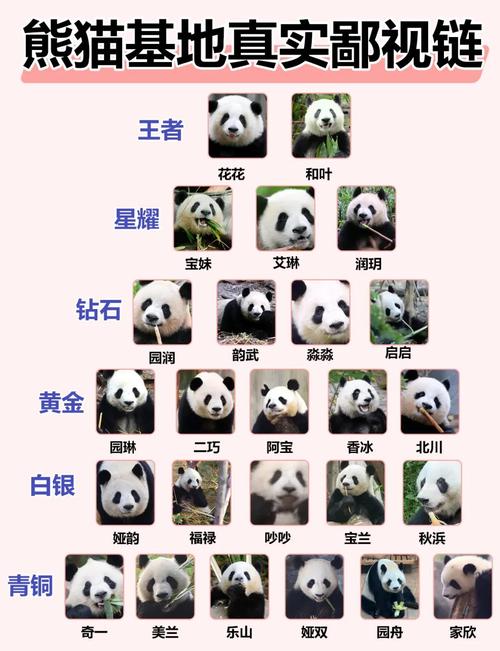 熊猫连连看怎么提高胜率？这些方法超有效！