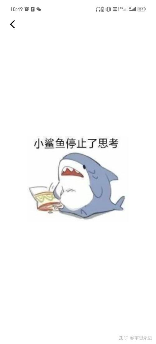 我的小鲨鱼生病了咋办？专家给出应对方法！