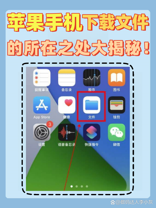 什么是真实的在哪下载？看完这篇你就知道正确答案！