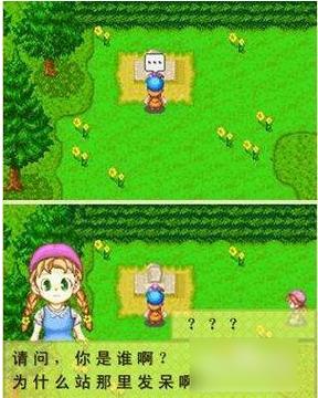 牧场物语矿石镇的伙伴们真实之玉