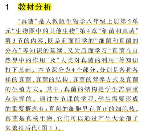 深入理解真菌世界攻略的核心原理