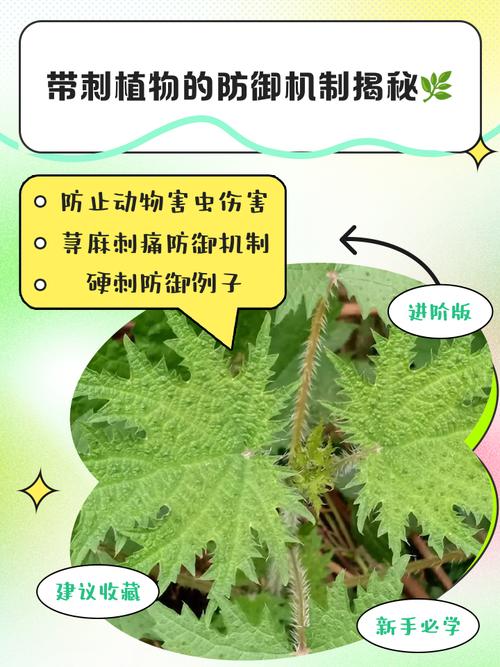 植物防御体系在娱乐软件中的认知行为映射研究