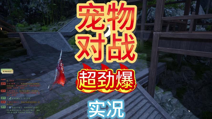 专业视角看宠物对战攻略