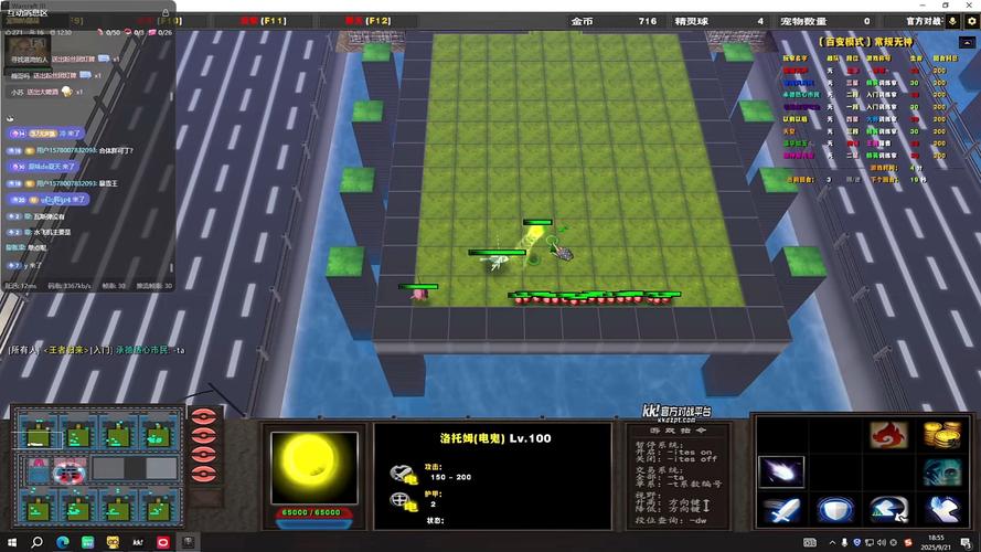 专业视角看宠物对战攻略