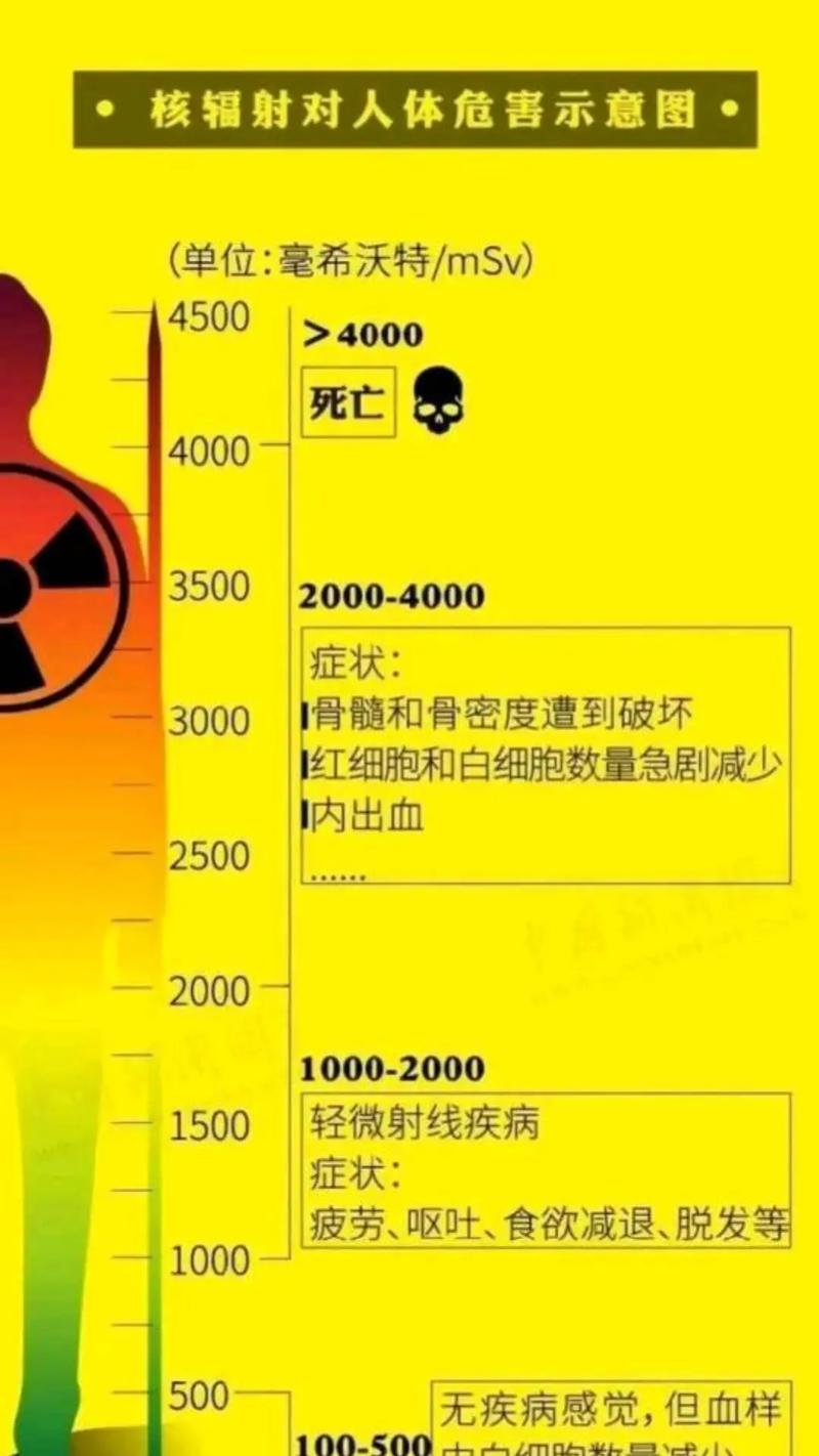 核后生存工程学：辐射避难所的空间生态重构