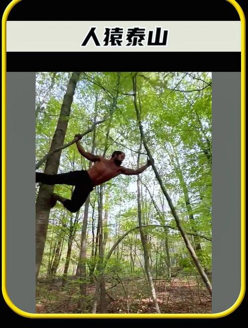 专业视角看人猿泰山游戏