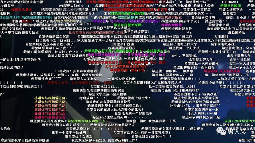 绯想天则中的弹幕编码与空间算法研究