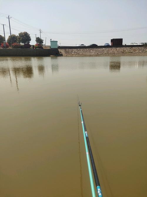 艾欧泽亚水域生态与渔获行为模式研究