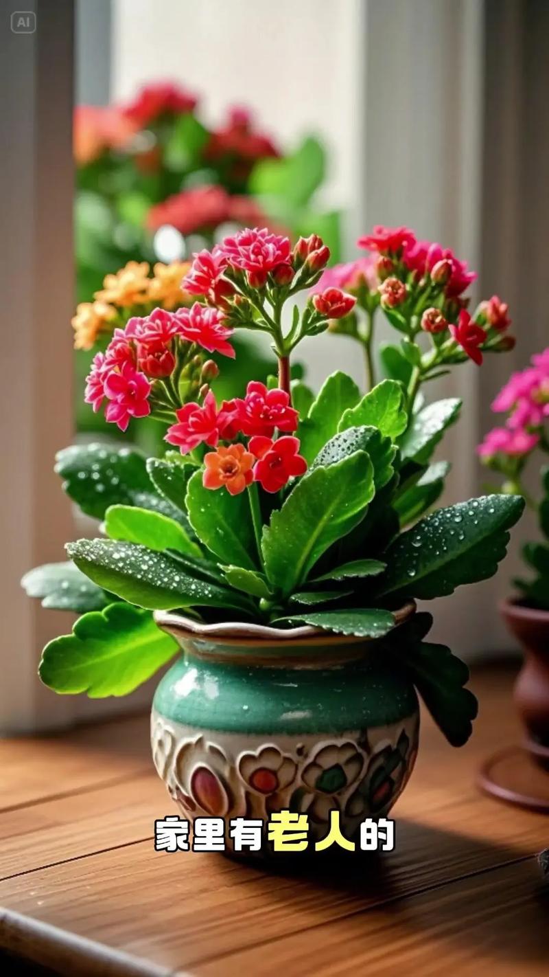 花中第一流怎么养？老花农分享实用养护技巧！