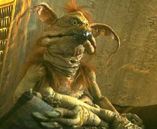 萨萨拉比姆是什么东西？(新手必看全面解析指南)