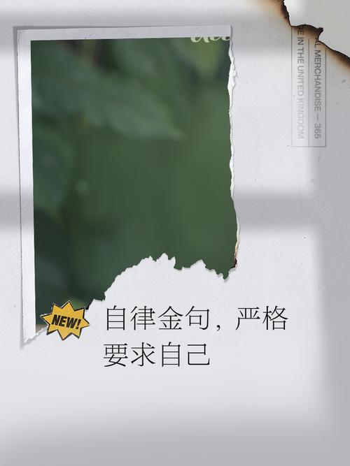 严格遵循核心关键词我吹过你吹过的晚风是哪首歌的歌词，采用不同口语化变形确保语义一致